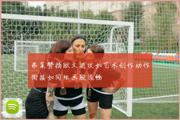 弗莱赞扬欧文进攻如艺术创作动作衔接如同绘画般流畅